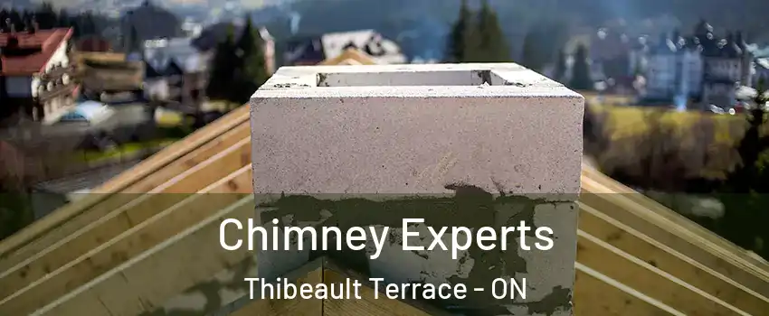 Chimney Experts Thibeault Terrace - ON