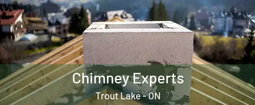 Chimney Experts Trout Lake - ON