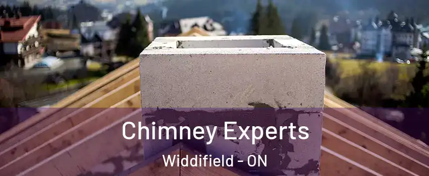 Chimney Experts Widdifield - ON