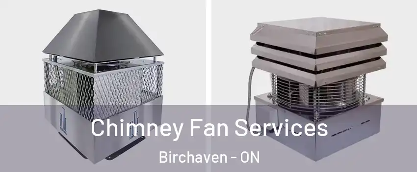  Chimney Fan Services Birchaven - ON