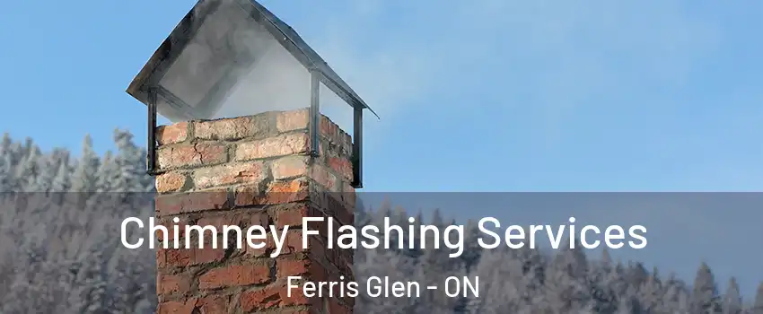 Chimney Flashing Services Ferris Glen - ON