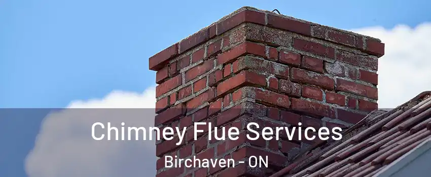  Chimney Flue Services Birchaven - ON