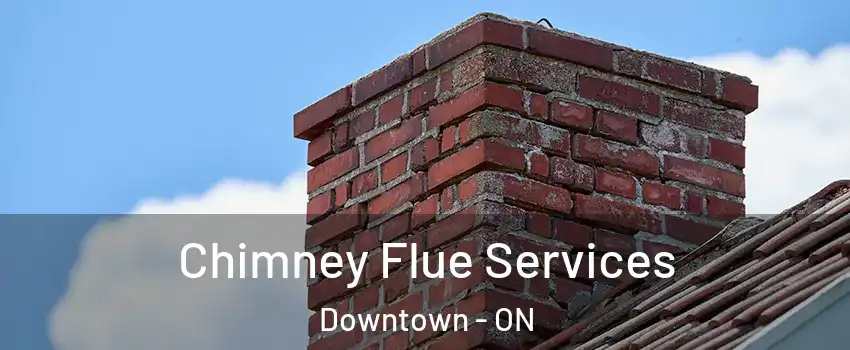  Chimney Flue Services Downtown - ON