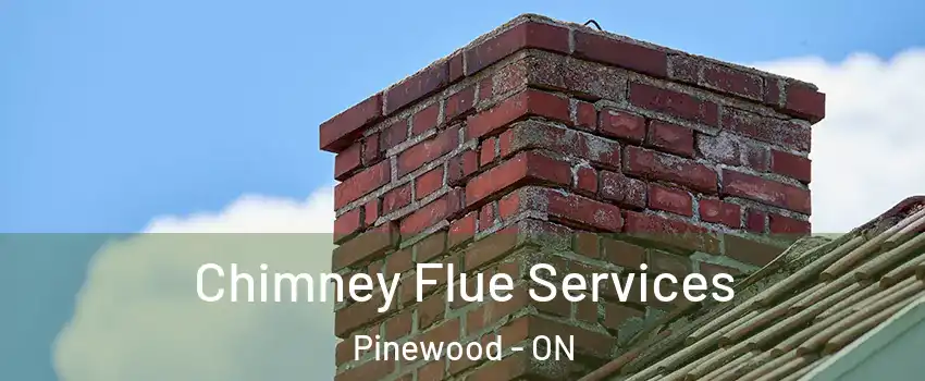  Chimney Flue Services Pinewood - ON