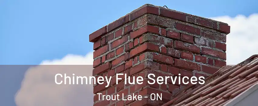  Chimney Flue Services Trout Lake - ON