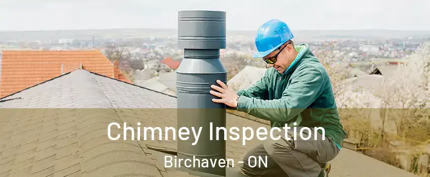  Chimney Inspection Birchaven - ON