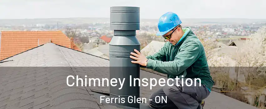 Chimney Inspection Ferris Glen - ON