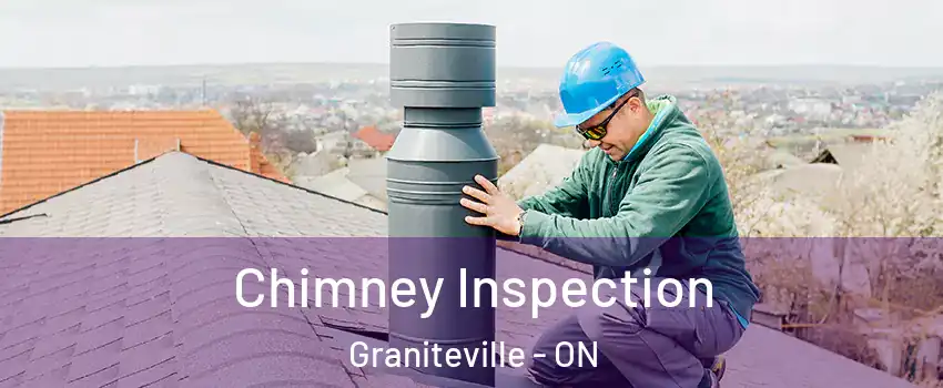  Chimney Inspection Graniteville - ON