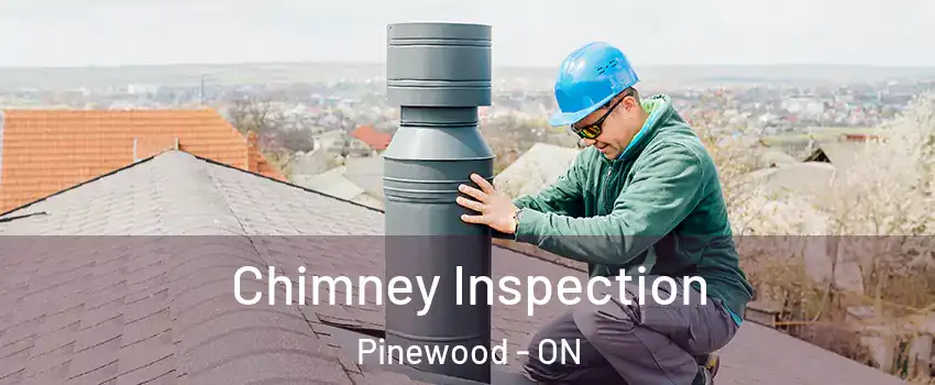  Chimney Inspection Pinewood - ON