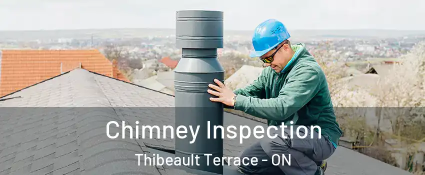  Chimney Inspection Thibeault Terrace - ON