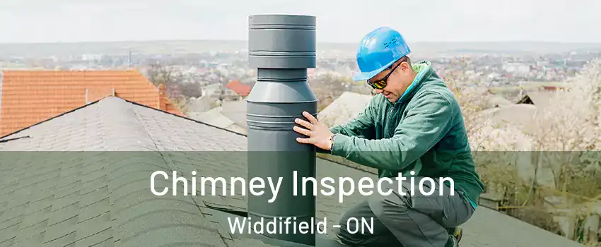  Chimney Inspection Widdifield - ON
