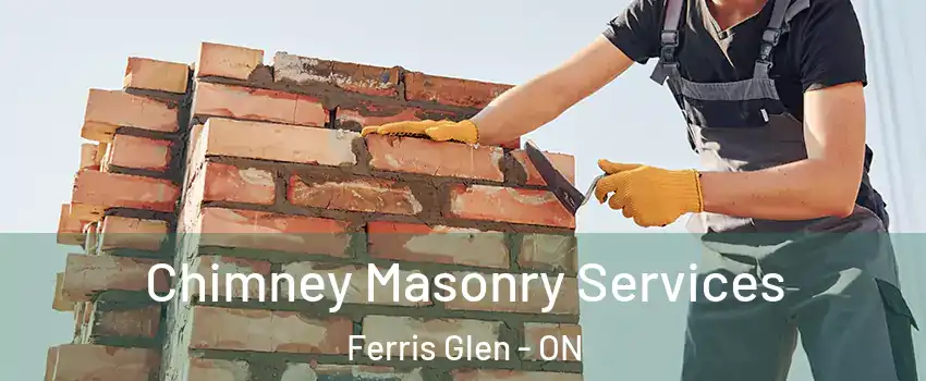  Chimney Masonry Services Ferris Glen - ON