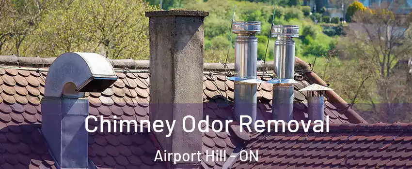 Chimney Odor Removal Airport Hill - ON