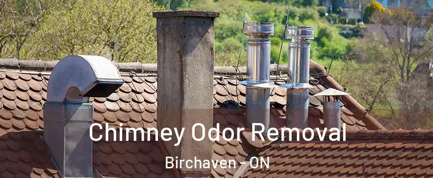  Chimney Odor Removal Birchaven - ON