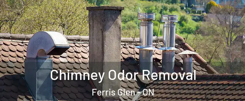  Chimney Odor Removal Ferris Glen - ON