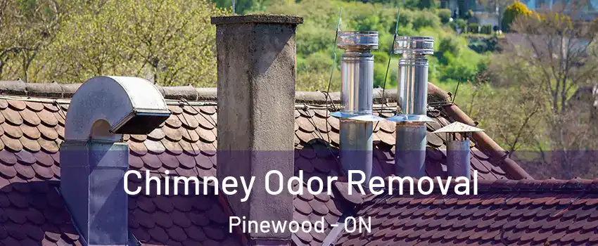  Chimney Odor Removal Pinewood - ON