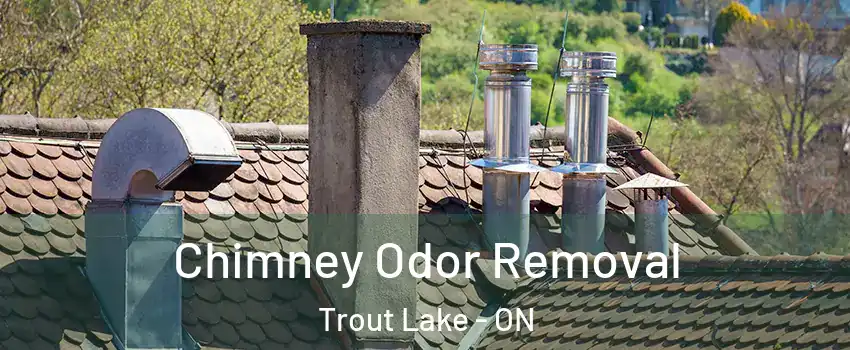  Chimney Odor Removal Trout Lake - ON