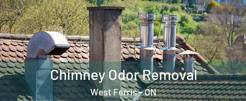  Chimney Odor Removal West Ferris - ON