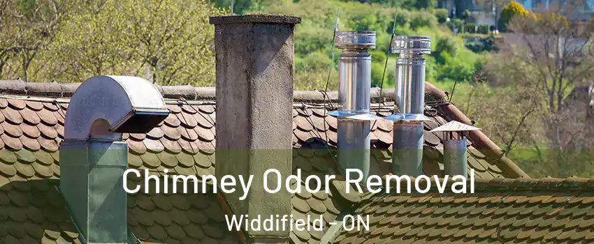  Chimney Odor Removal Widdifield - ON