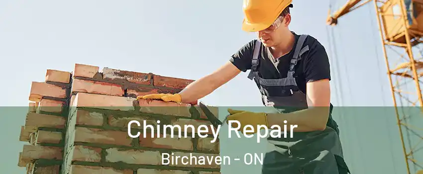  Chimney Repair Birchaven - ON