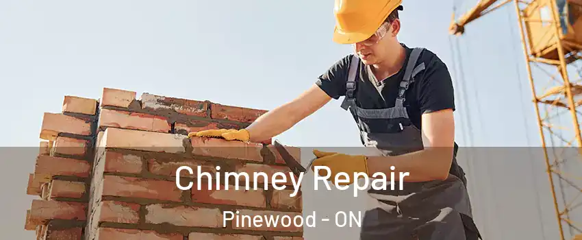  Chimney Repair Pinewood - ON