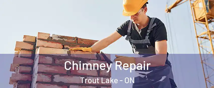  Chimney Repair Trout Lake - ON