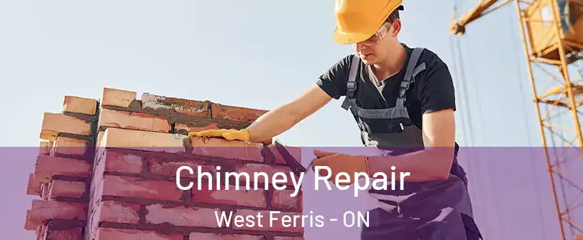  Chimney Repair West Ferris - ON