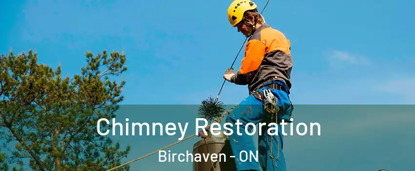  Chimney Restoration Birchaven - ON