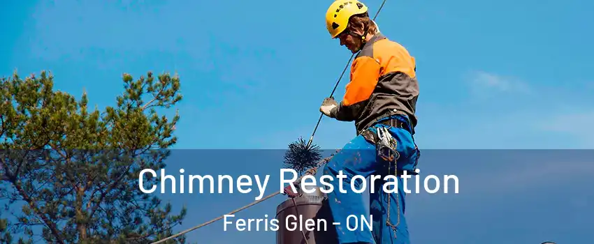  Chimney Restoration Ferris Glen - ON