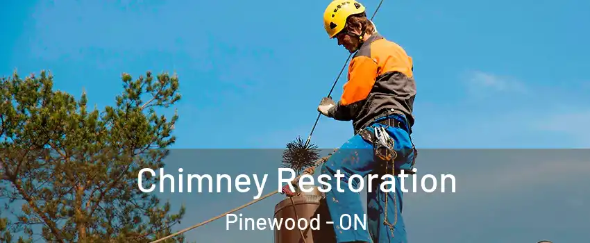  Chimney Restoration Pinewood - ON