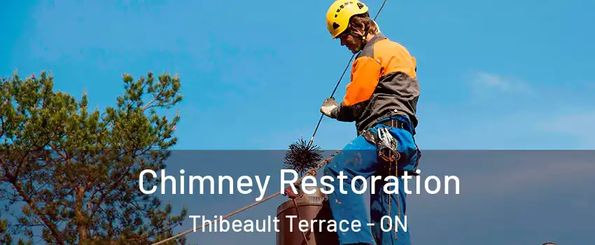  Chimney Restoration Thibeault Terrace - ON