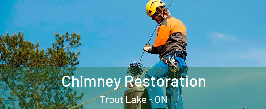  Chimney Restoration Trout Lake - ON