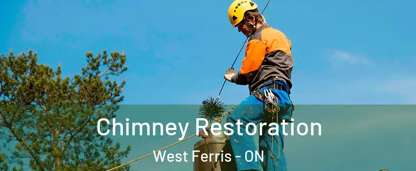  Chimney Restoration West Ferris - ON