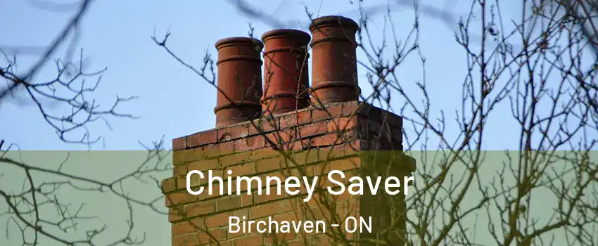  Chimney Saver Birchaven - ON