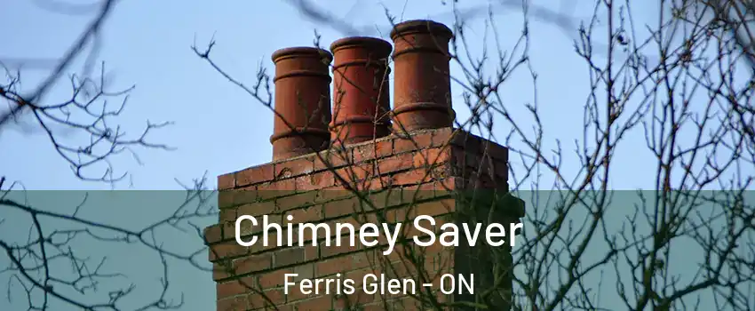  Chimney Saver Ferris Glen - ON