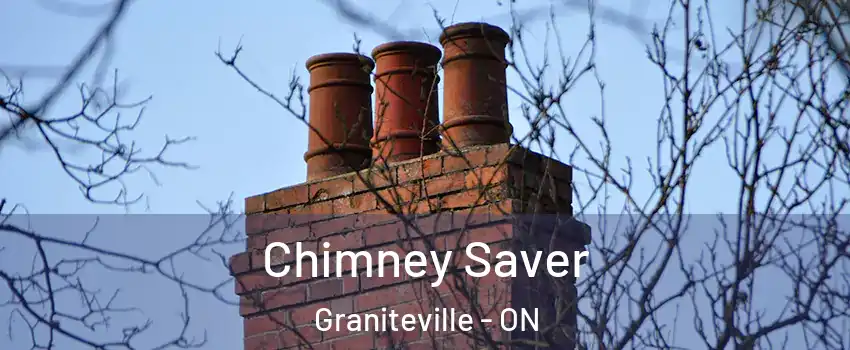  Chimney Saver Graniteville - ON
