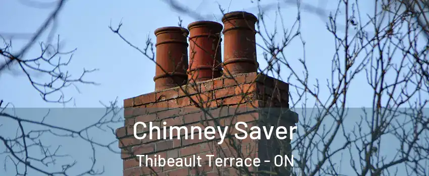  Chimney Saver Thibeault Terrace - ON