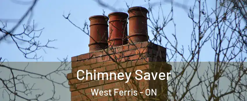  Chimney Saver West Ferris - ON