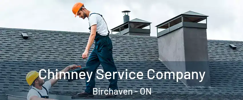  Chimney Service Company Birchaven - ON