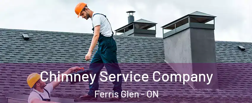  Chimney Service Company Ferris Glen - ON