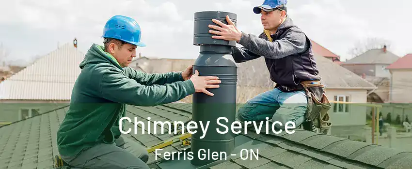  Chimney Service Ferris Glen - ON