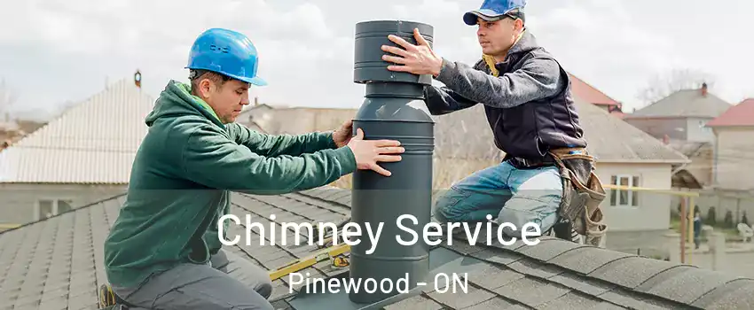  Chimney Service Pinewood - ON