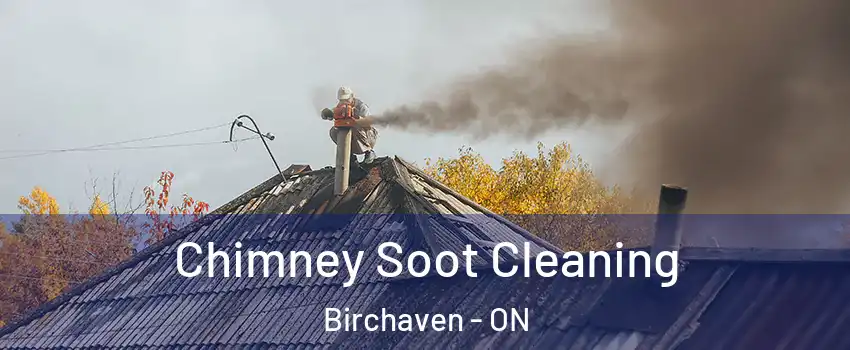  Chimney Soot Cleaning Birchaven - ON