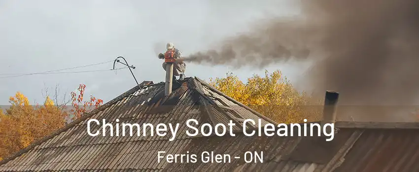  Chimney Soot Cleaning Ferris Glen - ON