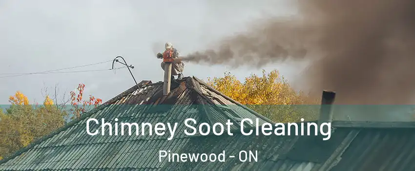  Chimney Soot Cleaning Pinewood - ON