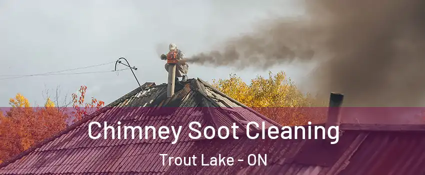  Chimney Soot Cleaning Trout Lake - ON
