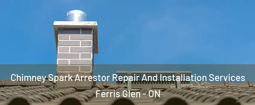  Chimney Spark Arrestor Repair And Installation Services Ferris Glen - ON