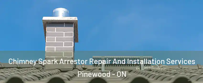  Chimney Spark Arrestor Repair And Installation Services Pinewood - ON