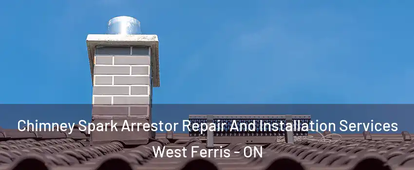  Chimney Spark Arrestor Repair And Installation Services West Ferris - ON
