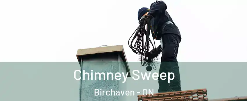  Chimney Sweep Birchaven - ON